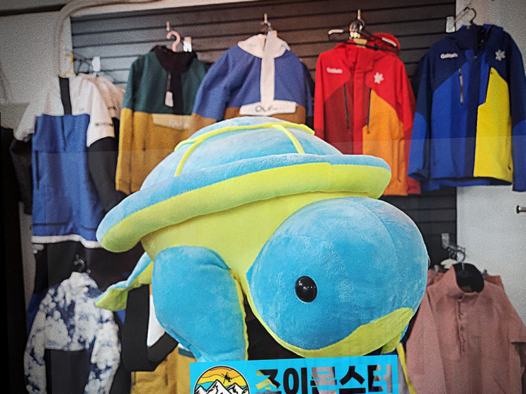  조이몬스터에서 빠르게 장비 대여하고 휘닉스파크에서 스키를 즐기세요!