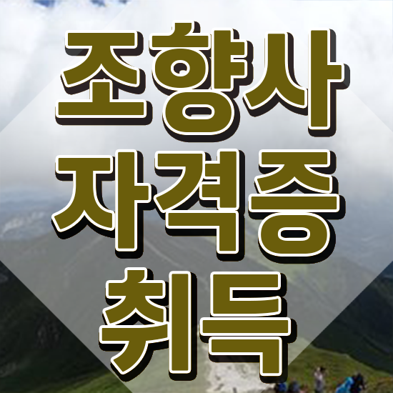  , 단기간에 조향사 공부한 방법