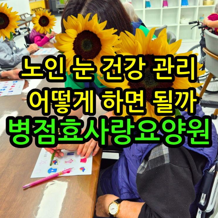 병점요양원 노인 눈 건강 관리 어떻게 하면 될까