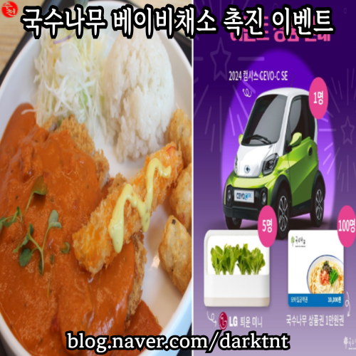 베이비채소 촉진 이벤트 국수나무 제주연동점 로제 돈까스맛집