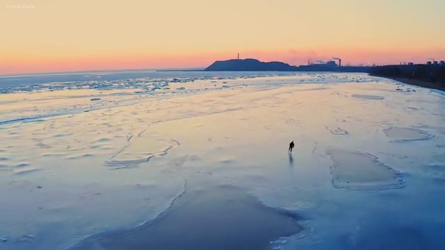  서울시 병원동행 병원동행매니저자격증 준비한 방법 및 학습방법