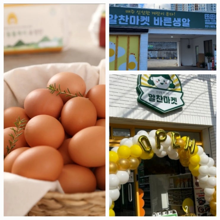  부산 구서동 { 알찬 마켓 바른 생알}  농장 직영 신선한 유정란