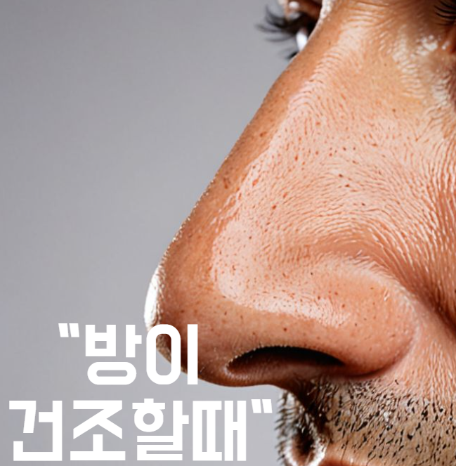  방 건조할때? 촉촉함 채워줄 에버튼가습기