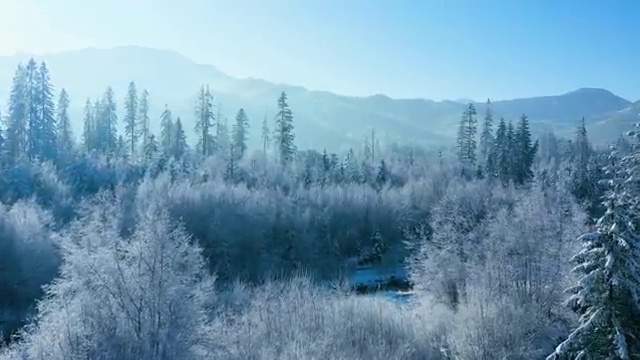  병원서비스총괄매니저 시험접수 , 병원서비스총괄매니저 자격증 쉽고 빠르게 시험준비 궁금하다면