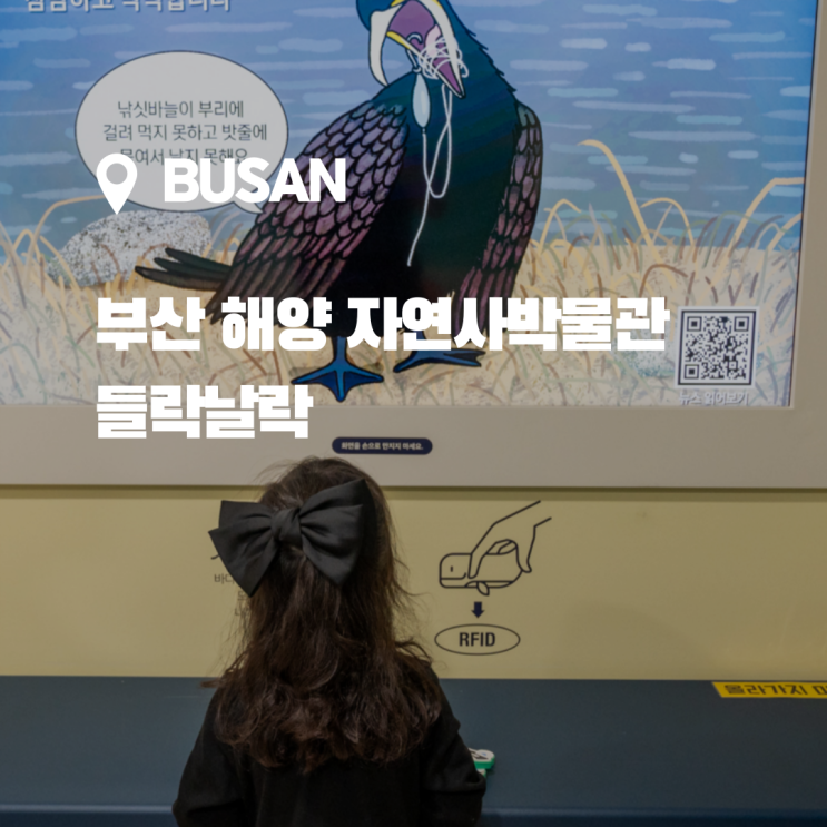  부산 실내 아이랑 가기좋은 해양자연사박물관 들락날락 + 예약방법