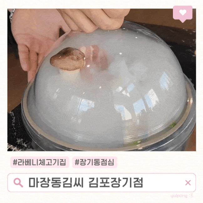  라베니체고기집 마장동김씨 김포장기점 구워주는 고깃집