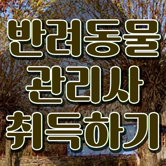  반려동물식품관리사 , 반려동물관리사 자격증 1급,2급 동시에 합격한 비법 및 취업 전망