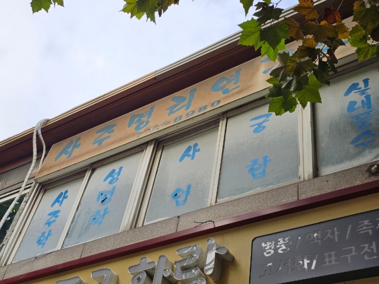  대흥역 사주 후기 묵언도사 토끼 ( 26년 예약 가능)