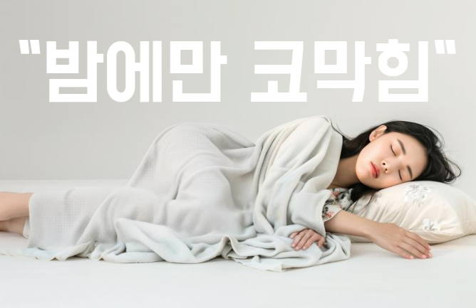  밤에만코막힘 나도 야간 코막힘?