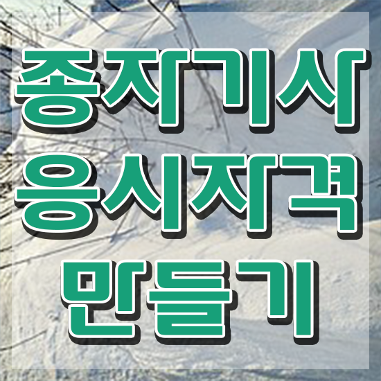  종자기사 합격률 종자기사 응시조건 독학으로 간단하게 준비한 전략