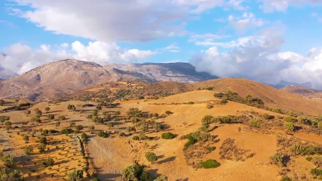 병원서비스총괄매니저 응시자격 확인 , 병원서비스총괄매니저 자격증 온라인으로 시험준비 및 취업 전망