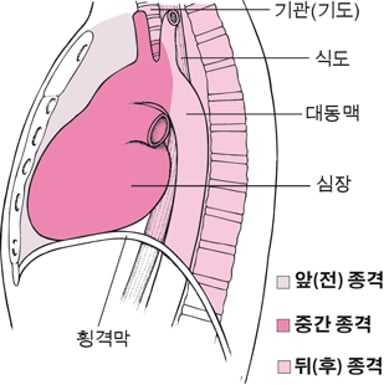 흉강이란?