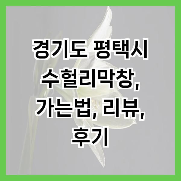 수헐리막창 사진 1