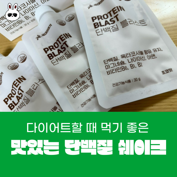  한끼대용 스위치온 다이어트할 때 먹기 좋은 맛있는 단백질 쉐이크 단백질블라스트