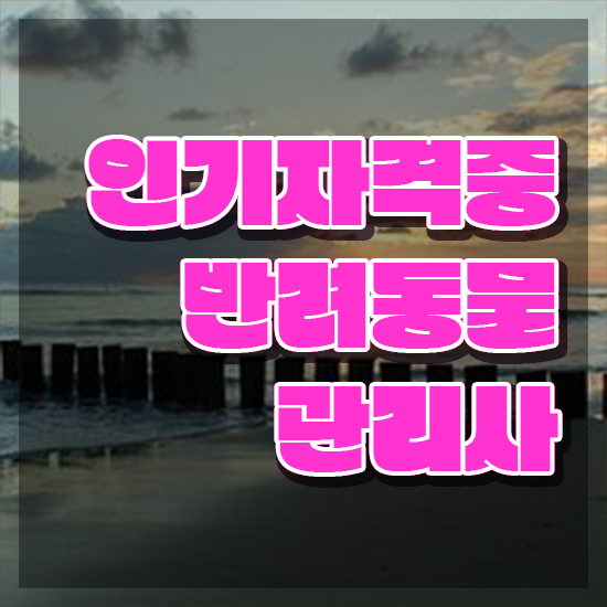  반려동물관리사 취업 , 반려동물관리사 자격증 쉽고 빠르게 취득한 방법 , 취업