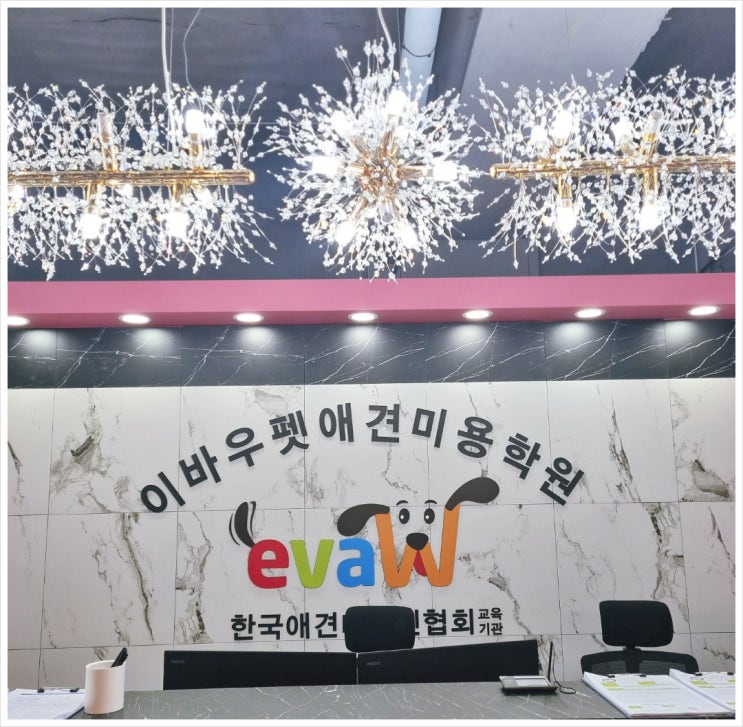  노원 애견미용학원 취업 창업이 바로 가능한 전문교육과정