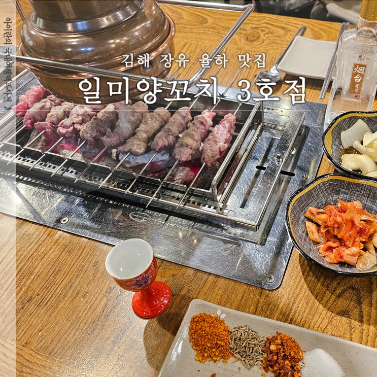  일미양꼬치 김해 장유 율하 맛집 양꼬치 어향가지 볶음밥 후기