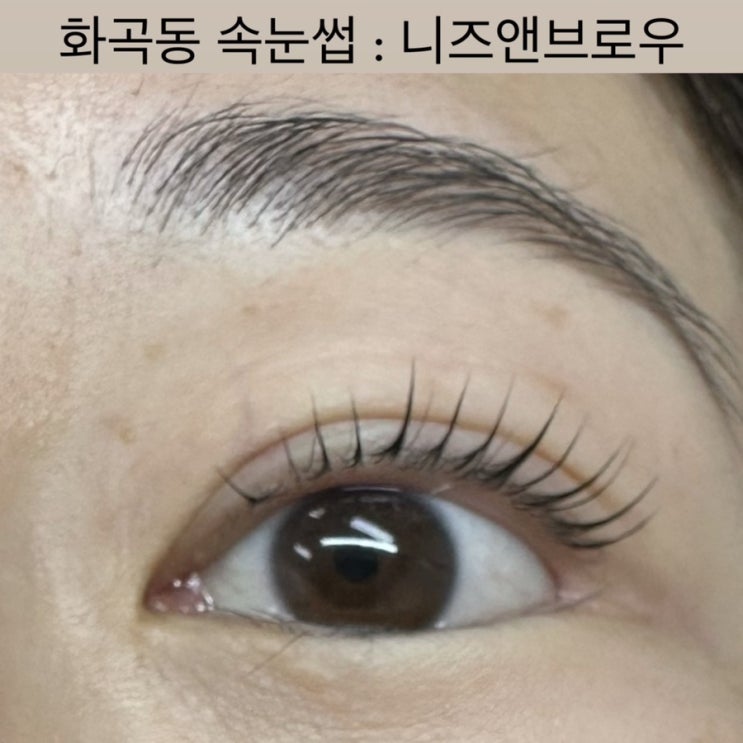  화곡동 속눈썹 [니즈앤브로우] - 강서구청 속눈썹펌, 강서구 속눈썹