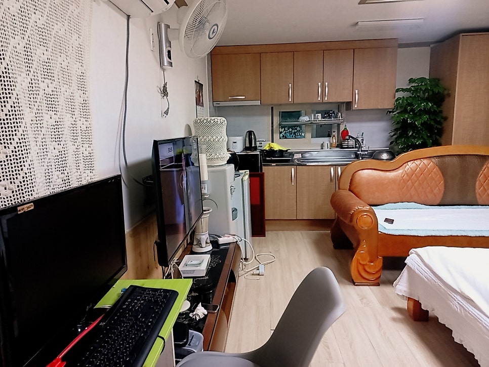 한실농박 사진 4
