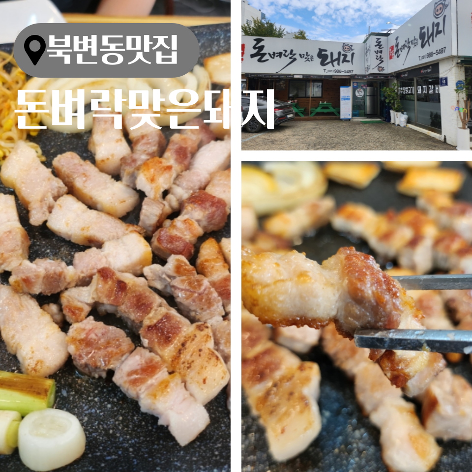 돈벼락맞은돼지 사진 1