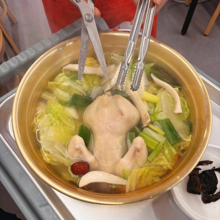  동대문 닭한마리 골목 순희네빈대떡 닭한마리 줄 안 서고 맛있어요