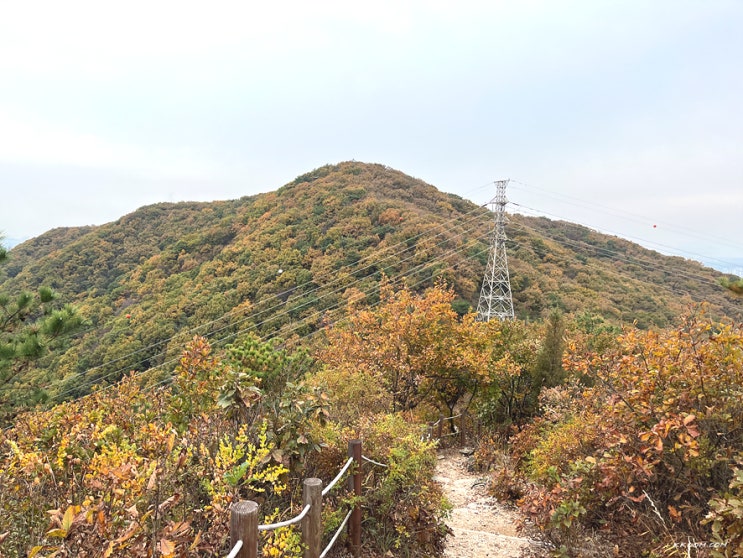 인천 계양산 등산 코스(계산역~계양산~장미원~중구봉~천마산) 인천 종주길 1,2코스 단풍 인천 계양산 등산 코스(계산역~계양산~장미원~중구봉~천마산) 인천 종주길 1,2코스 단풍