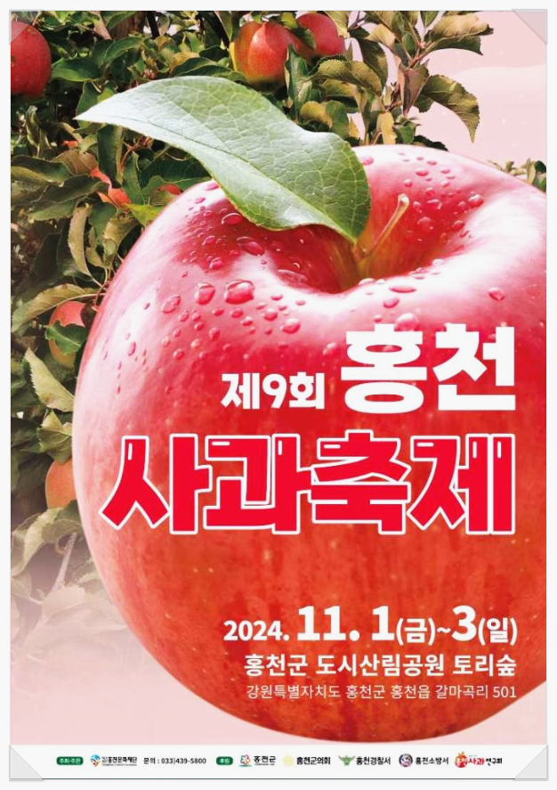  11월 강원도 먹거리축제 2024 홍천사과축제 기본정보