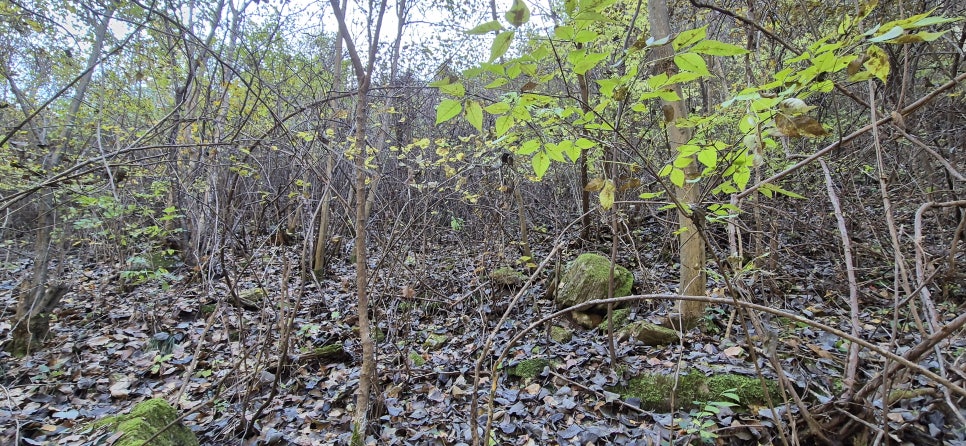 운봉산 사진 4