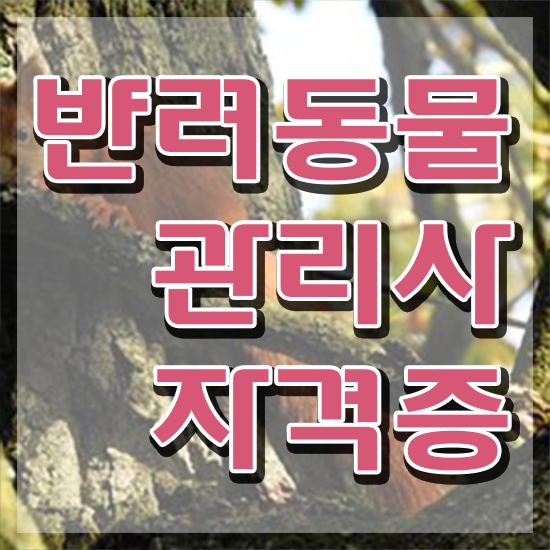  반려동물복지관리사 , 반려동물관리사 자격증 직장인도 쉽게 취득한 과정 및 무료수강 혜택