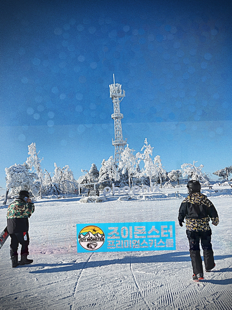  휘닉스파크 조이몬스터에서 스키 배우며 체력도 기르고 전문 강사님께 감동