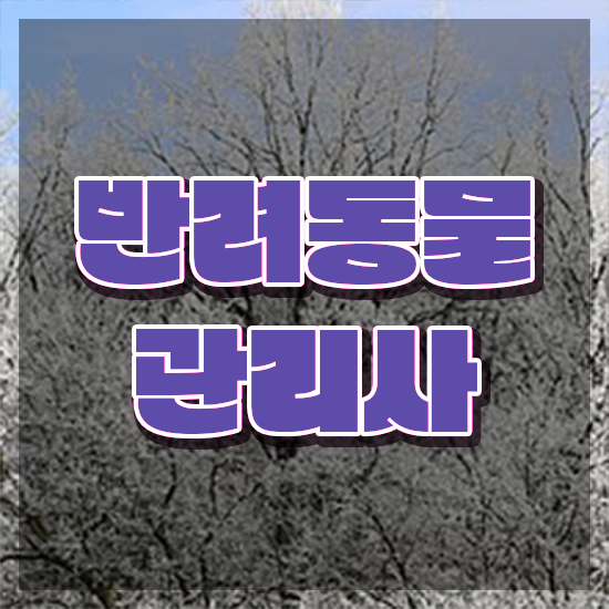  반려동물관리사 학원 , 반려동물관리사 자격증 쉽고 간편하게 준비한 과정 및 활용 방법