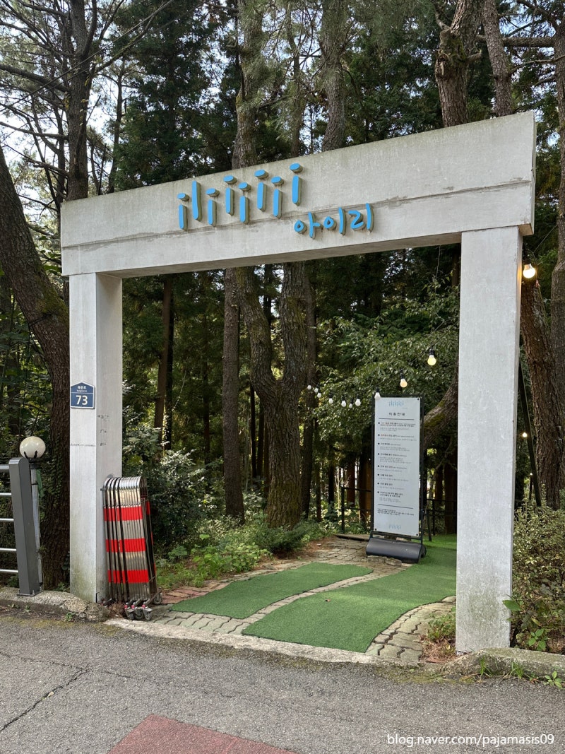 사진 2