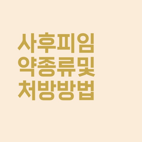  사후 피임약 종류와 응급 피임약 처방받는 방법은 이렇습니다