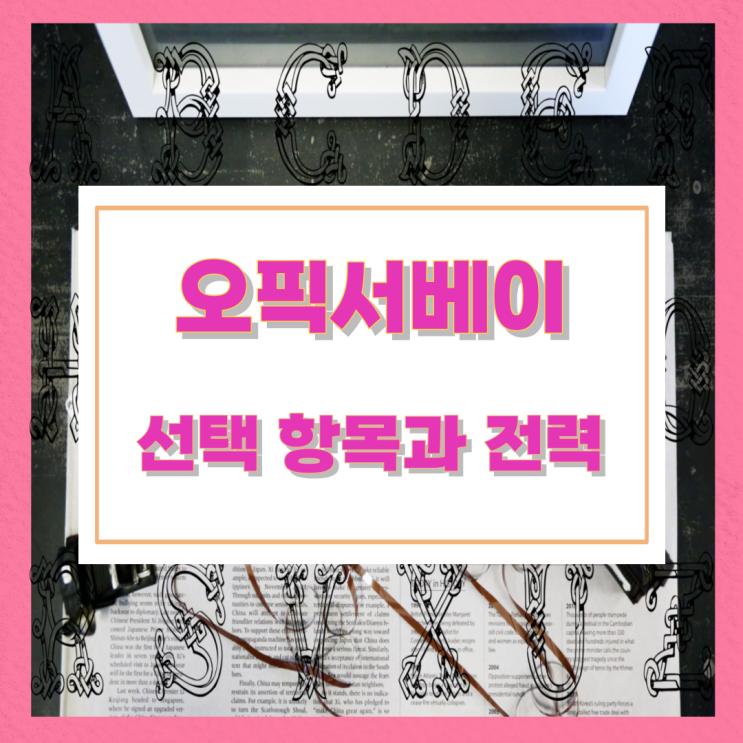 오픽서베이 선택 항목과 전력 오픽서베이 선택 항목과 전력