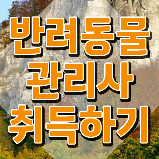  반려동물관리사 자격증 비용 , 반려동물관리사 자격증 1급,2급 동시에 합격한 팁 , 활용 방법