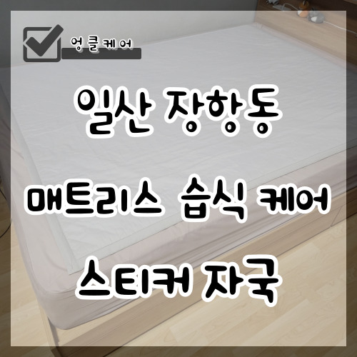  일산 매트리스 청소 습식 스티커 자국 제거