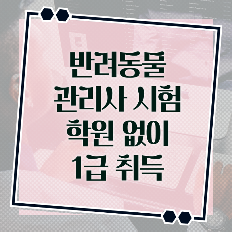  반려동물관리사 하는일 , 반려동물관리사 자격증 20일 만에 시험준비 확인해보세요