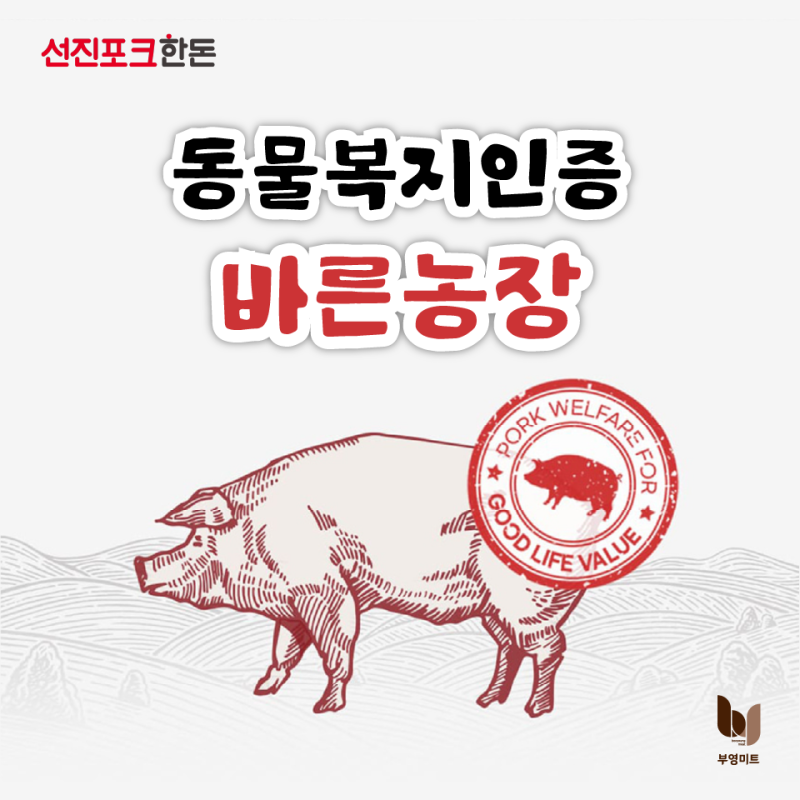 [돼지고기 도매] 국내 1% 프리미엄 동물복지인증 선진포크한돈 "바른농장"