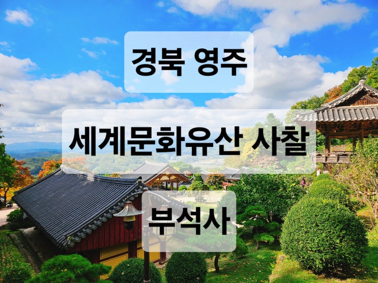  경북 영주 단풍 은행나무 경치 예쁜 세계문화유산 사찰  부석사