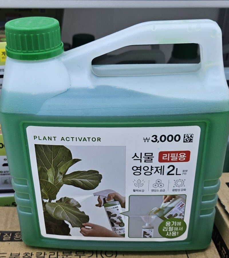 다이소 식물 영양제