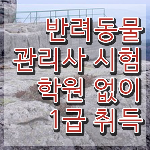  반려동물복지관리사 , 반려동물관리사 자격증 합격한 비법 확인하세요