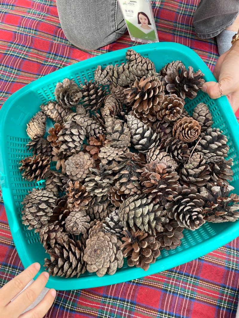 유아가을놀이:] 솔방울로 겨울동물 먹이공 만들기 : 네이버 블로그, image size:800x1067