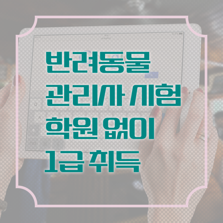  반려동물목욕관리사 , 반려동물관리사 자격증 쉽고 간편하게 준비한 방법 , 채용 정보