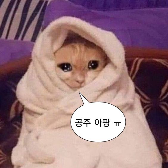  윗 사랑니 빼고 생긴 후유증/부작용 축농증(누런 콧물), 상악동천공(코로 물 나옴, 센 발음 아픔) 발생 후기 01