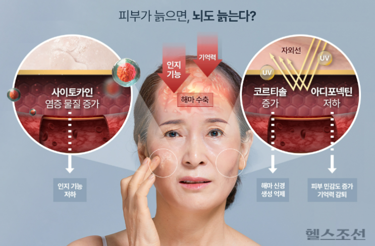피부가 늙으면 뇌도 늙는다? 보습제가 꼭 필요한 이유! 피부가 늙으면 뇌도 늙는다? 보습제가 꼭 필요한 이유!