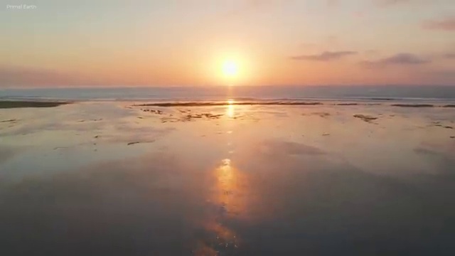  대전 아동심리상담 센터 , 아동심리상담사 자격증 단기간에 취득했던 후기 핵심 공개