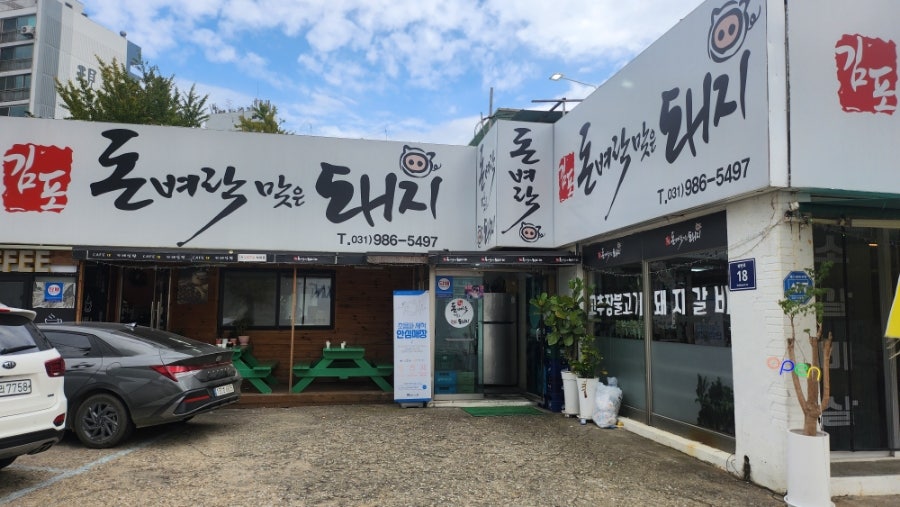 돈벼락맞은돼지 사진 2