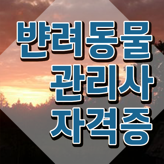  반려동물 생활관리사 , 반려동물관리사 자격증 한달 만에 취득한 방법 및 구직정보