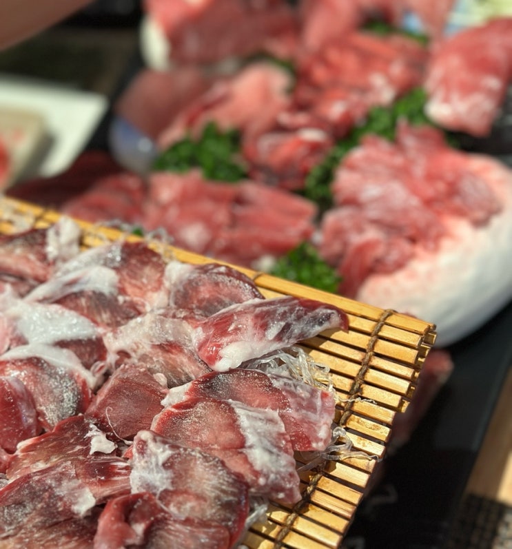  청주 가경동 참치회 규슈 참치머리코스