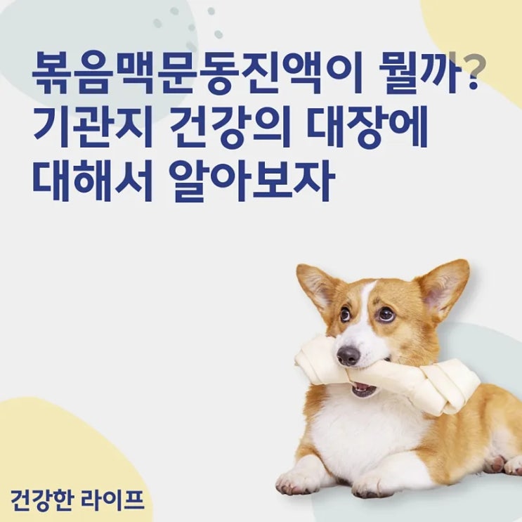  볶음맥문동진액이 뭘까? 기관지 건강의 대장에 대해서 알아보자